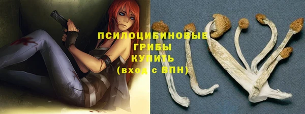 героин Алексин