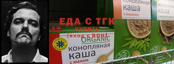 ПСИЛОЦИБИНОВЫЕ ГРИБЫ Алексеевка