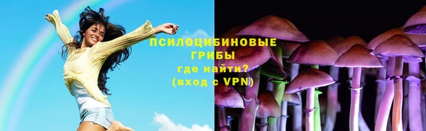 ПСИЛОЦИБИНОВЫЕ ГРИБЫ Алексеевка