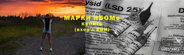 ПСИЛОЦИБИНОВЫЕ ГРИБЫ Алексеевка