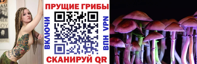 Псилоцибиновые грибы Psilocybine cubensis  где продают наркотики  Котельнич 